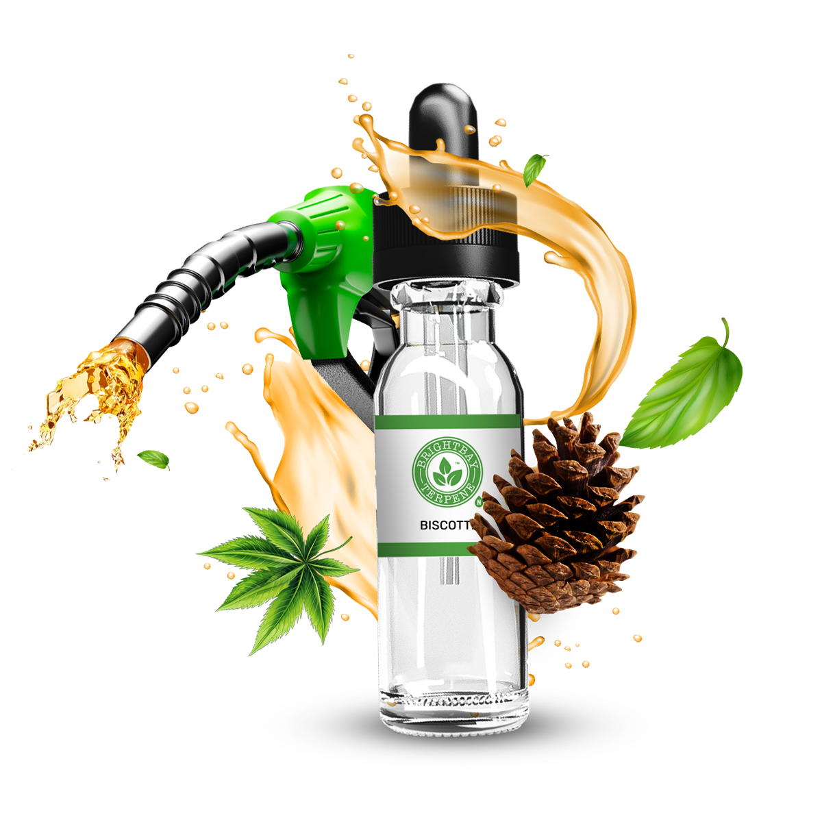 BrightBay Terpenes | Biscotti | Indica - 25g