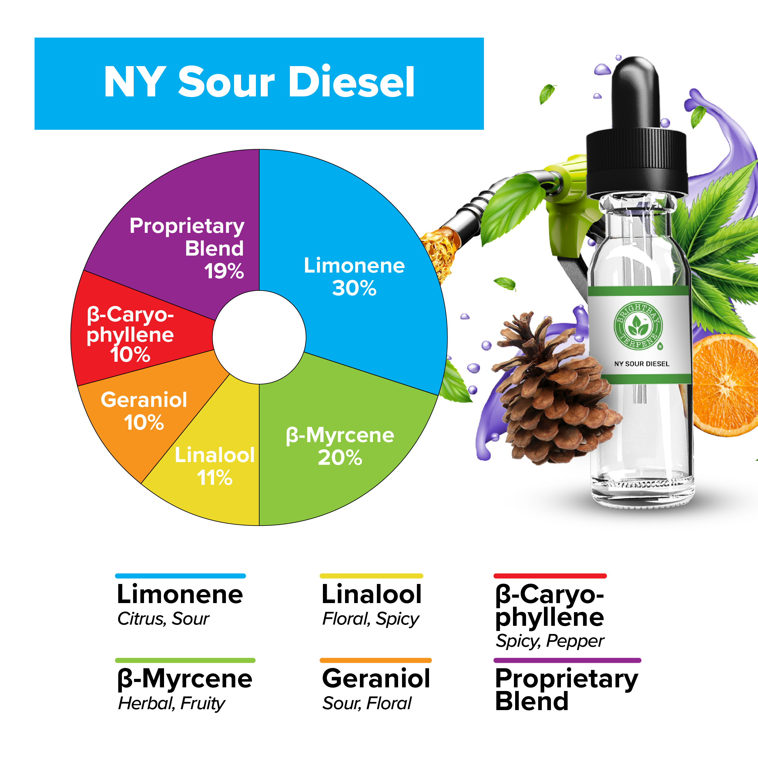 BrightBay Terpenes | NY Sour Diesel | Hybrid - Various Sizes - Bioazard Inc