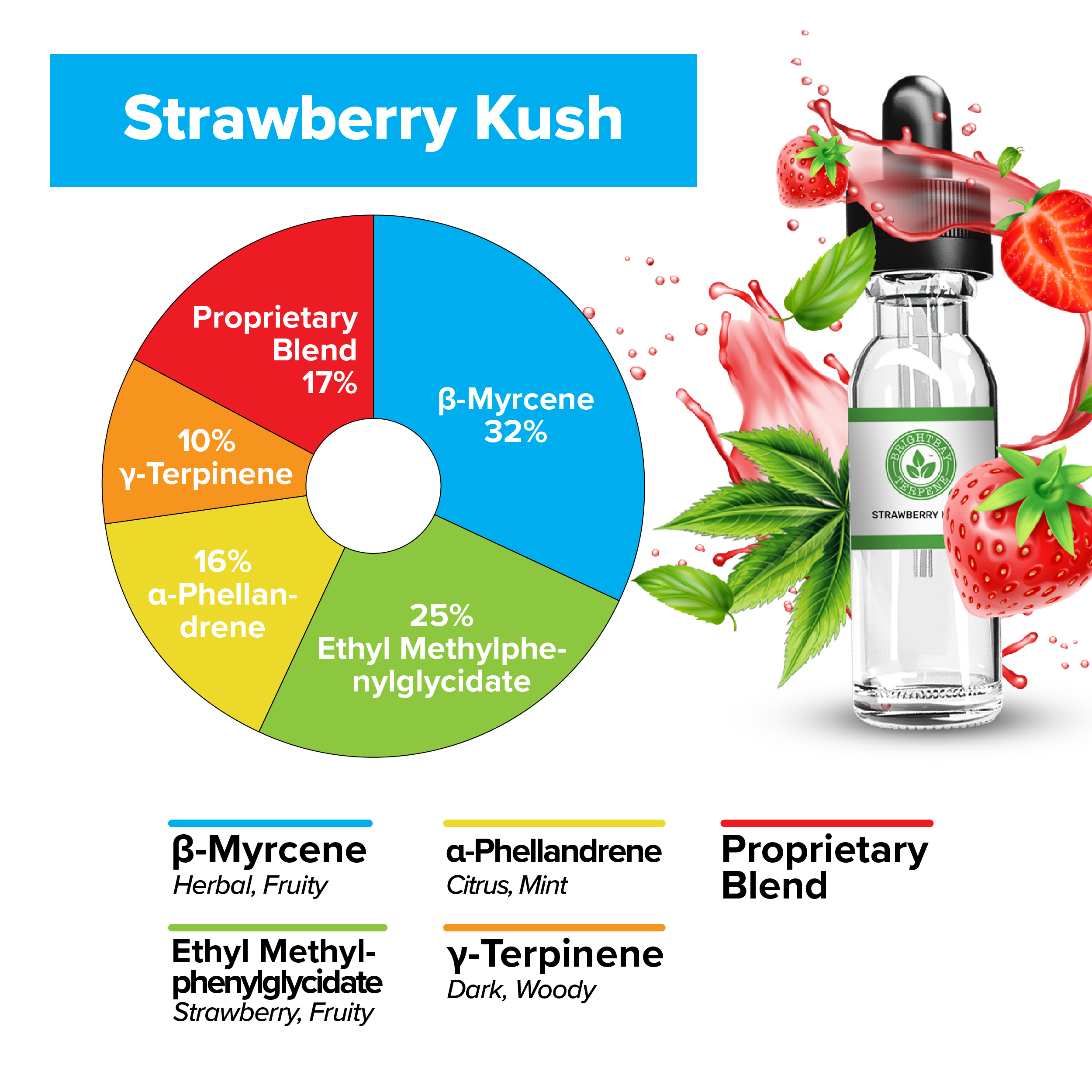 BrightBay Terpenes | Strawberry Kush | Hybrid - 25g - Biohazard Inc