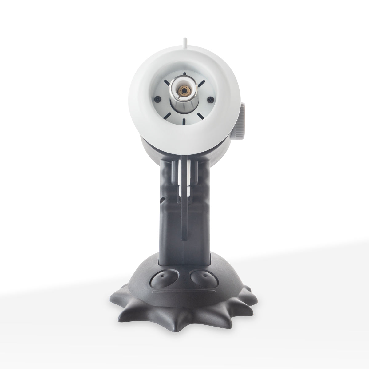 Thicket Flashback Rick & Morty Torch