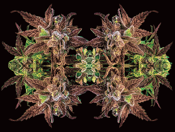 Wall Art | Lenticular 3D - Kaleidoscopic | 18" x 24"