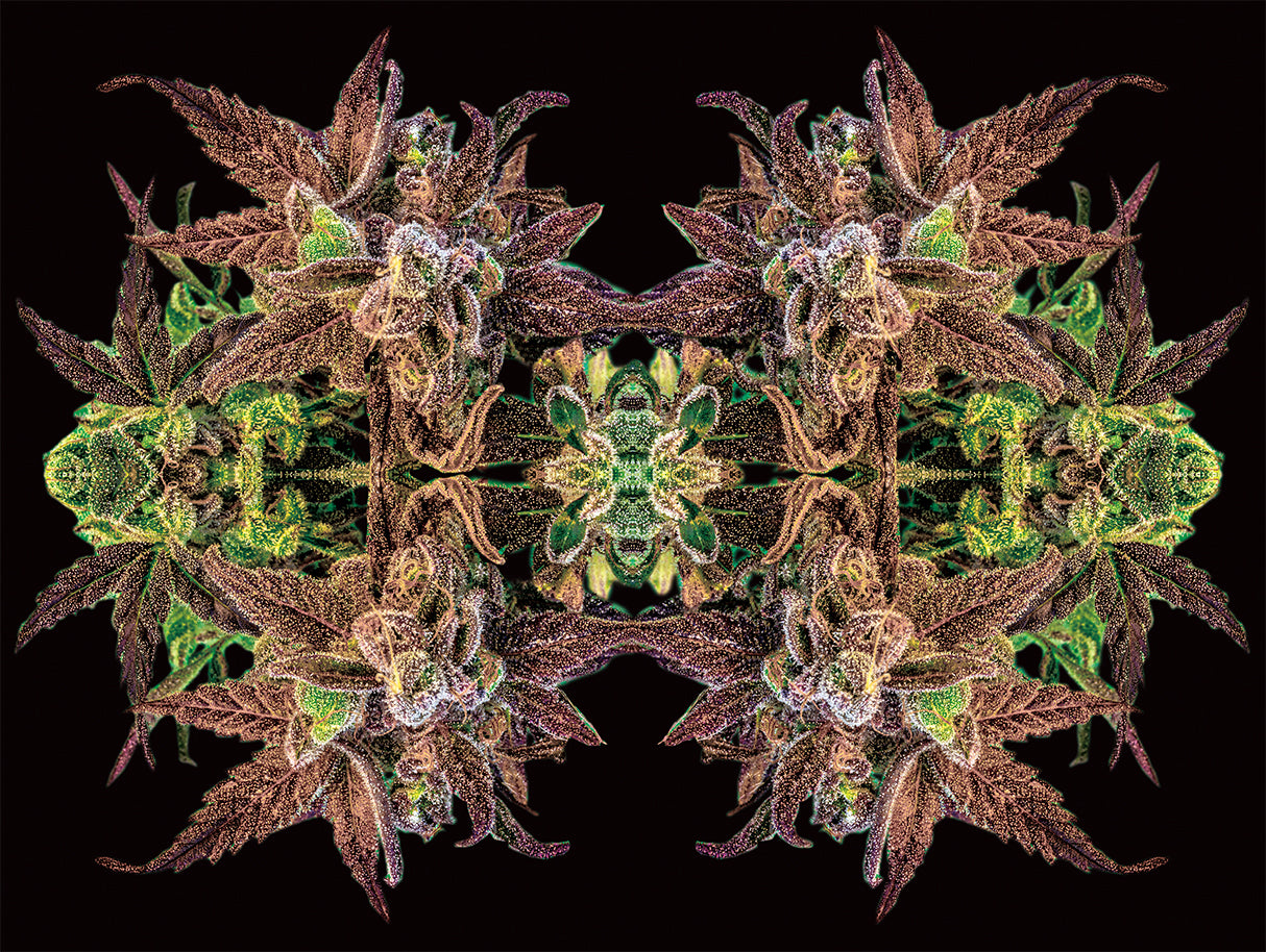 Wall Art | Lenticular 3D - Kaleidoscopic | 18" x 24"