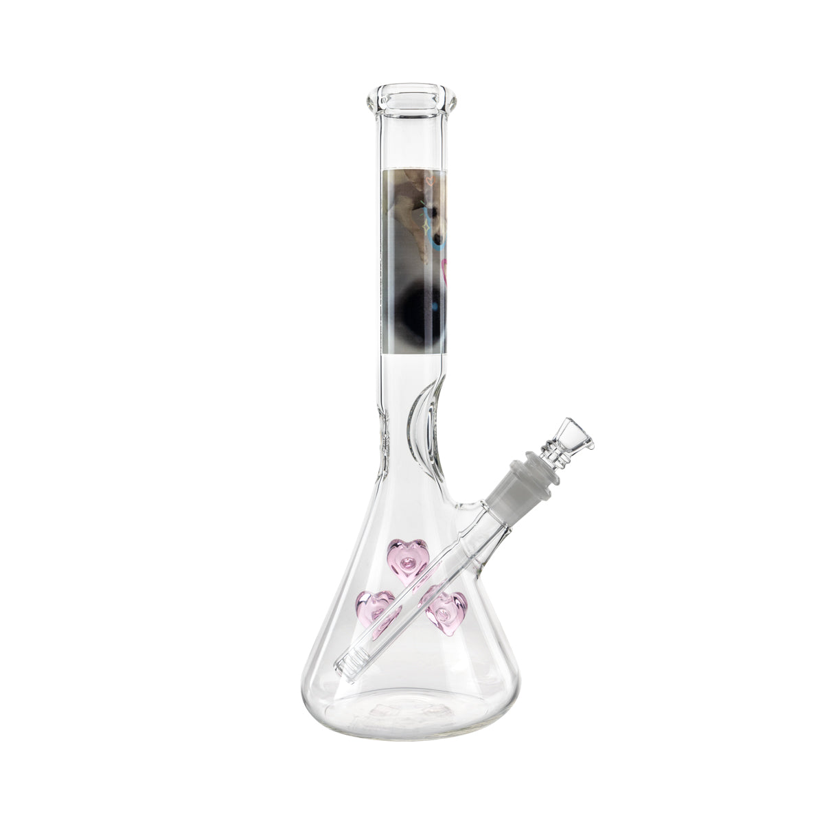 Custom BIO Glass | Heart Detailed Bong | 12" - 14mm - Various Colors Glass Bong Bio Glass