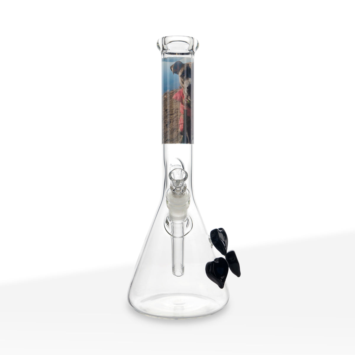 Custom BIO Glass | Heart Detailed Bong | 12" - 14mm - Various Colors Glass Bong Bio Glass