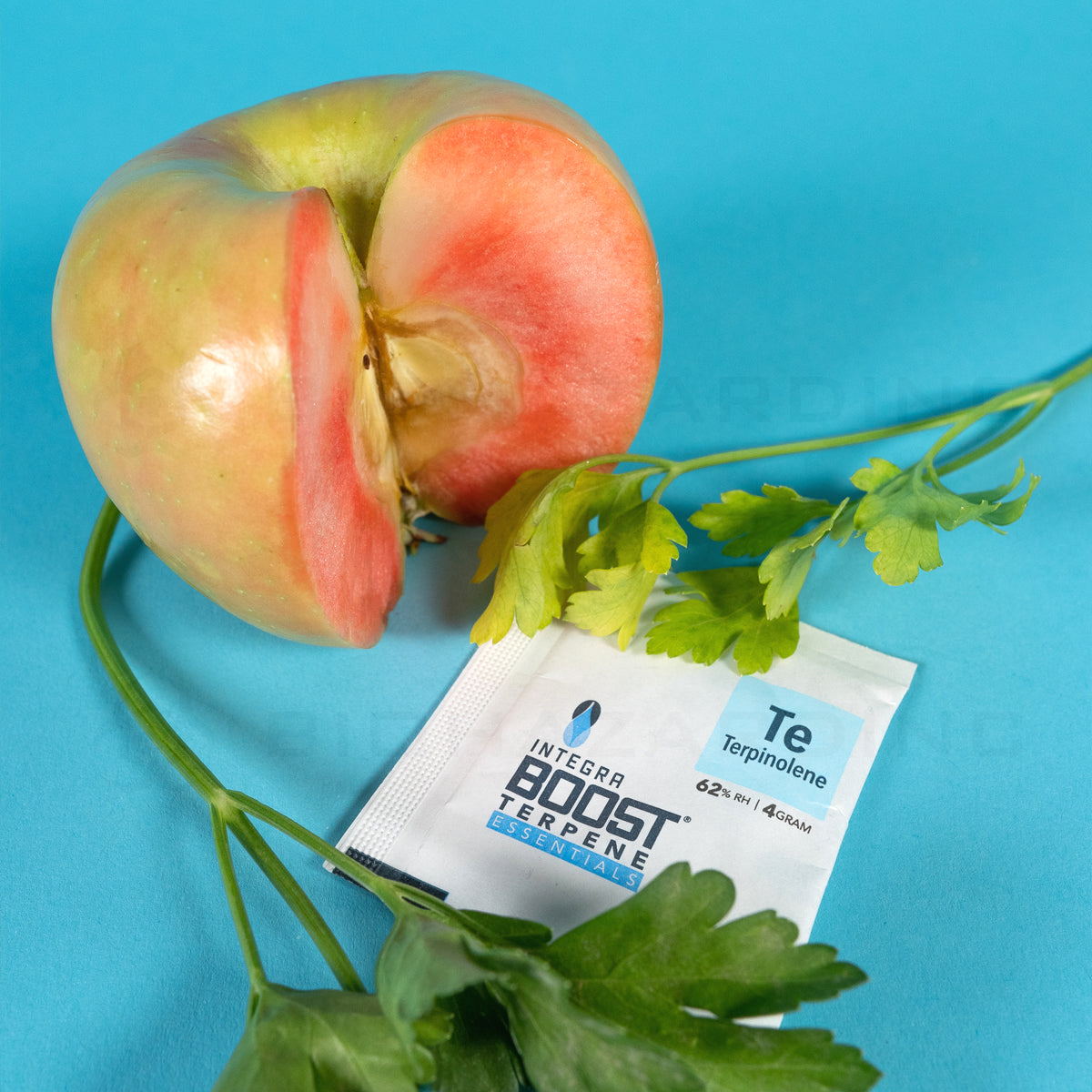 Integra™ | Boost Wholesale Terpene Humidity Packs | 4 Grams - 62% - 48 Count - Various Terpenes Humidity Pack Integra