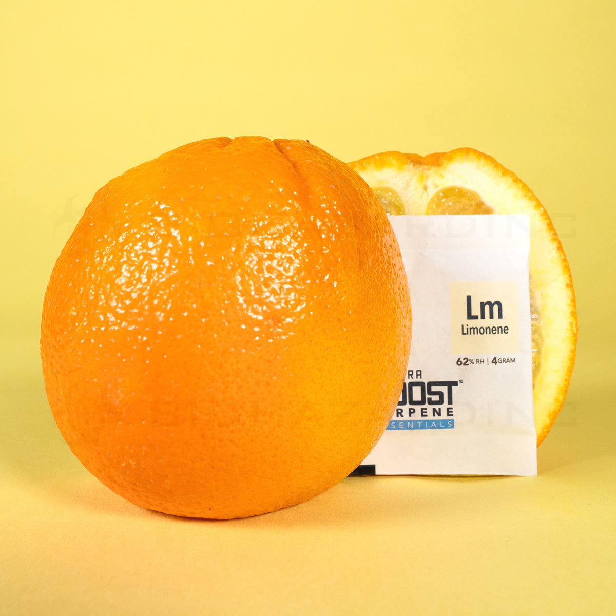 Integra™ | Boost Wholesale Terpene Humidity Packs | 4 Grams - 62% - 48 Count - Various Terpenes Humidity Pack Integra