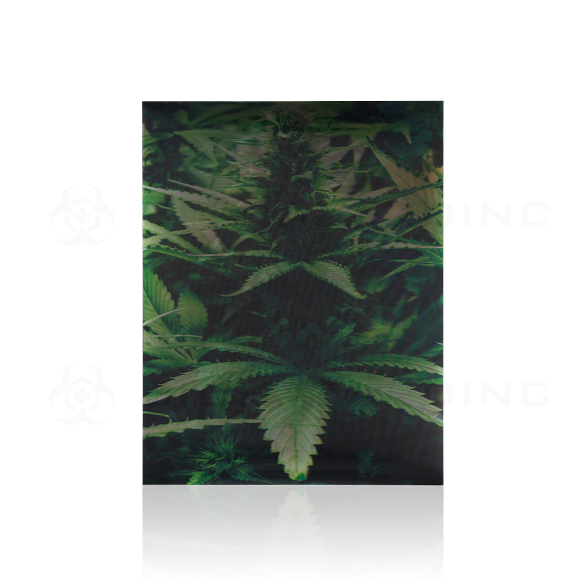 Wall Art | lenticular 3D - Cannabis Triplets | 18" x 14" Wall Art Biohazard Inc