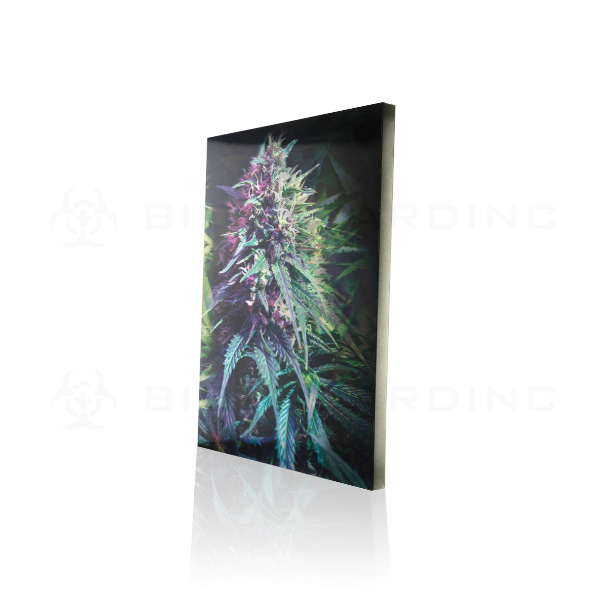 Wall Art | lenticular 3D - Cannabis Triplets | 18" x 14" Wall Art Biohazard Inc