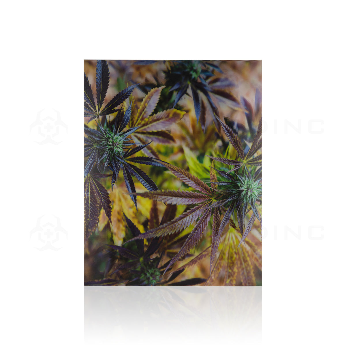 Wall Art | lenticular 3D - Fall Harvest Weed | 18" x 14" Wall Art Biohazard Inc