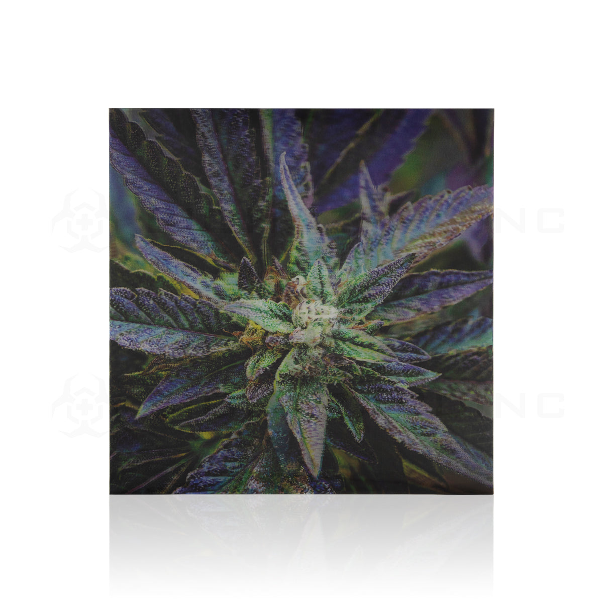 Wall Art | lenticular 3D - Purple Kush | 16" x 16" Wall Art Biohazard Inc