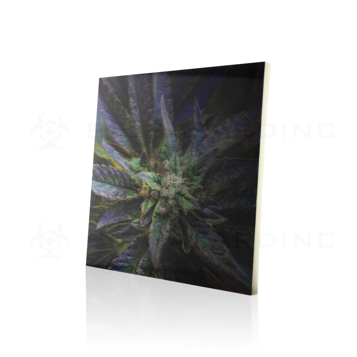 Wall Art | lenticular 3D - Purple Kush | 16" x 16" Wall Art Biohazard Inc