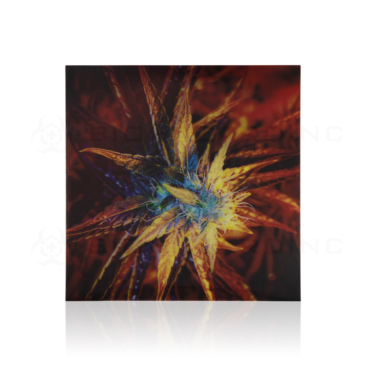 Wall Art | lenticular 3D - Red Flower | 16" x 16" Wall Art Biohazard Inc
