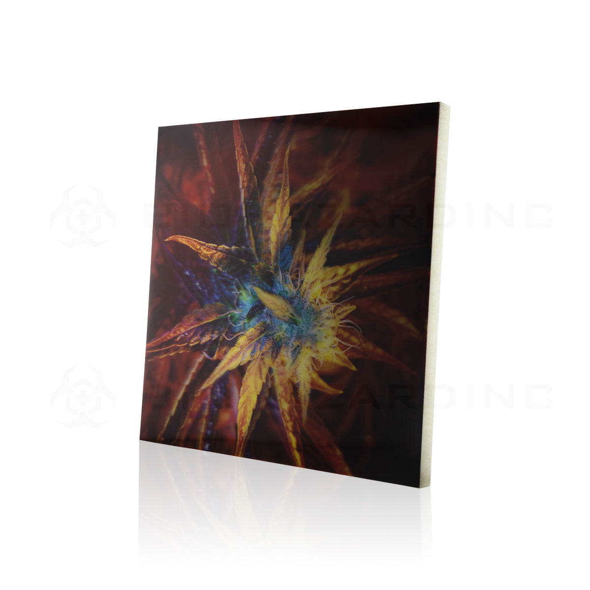 Wall Art | lenticular 3D - Red Flower | 16" x 16" Wall Art Biohazard Inc