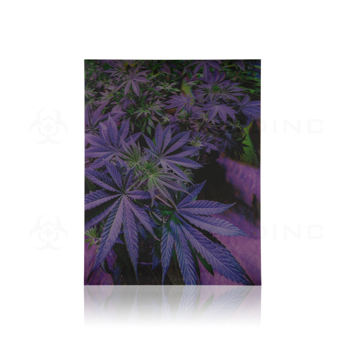 Wall Art | lenticular 3D - Purple Plant | 18" x 14" Wall Art Biohazard Inc