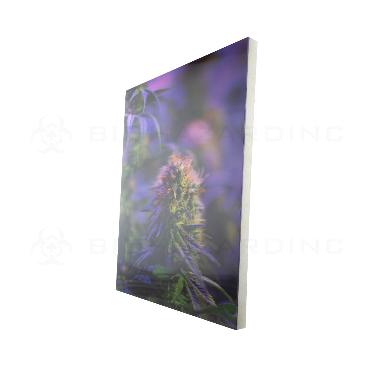 Wall Art | lenticular 3D - Eden Bud | 16" x 16" Wall Art Biohazard Inc