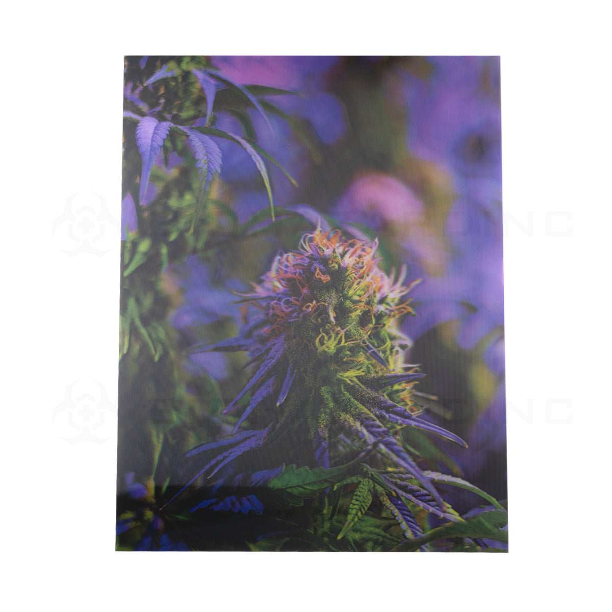 Wall Art | lenticular 3D - Eden Bud | 16" x 16" Wall Art Biohazard Inc