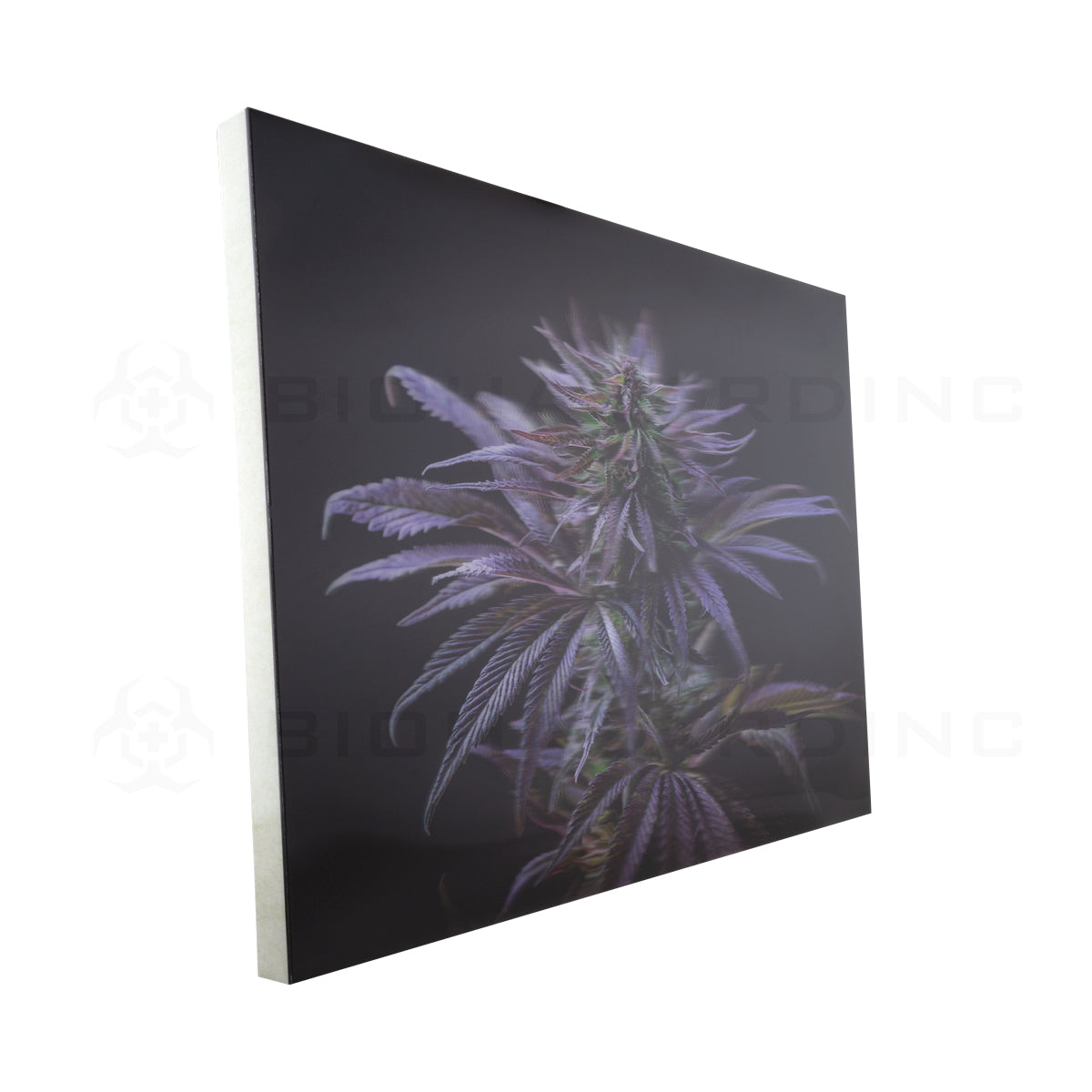 Wall Art | lenticular 3D - Blueberry Kush | 16" x 16" Wall Art Biohazard Inc