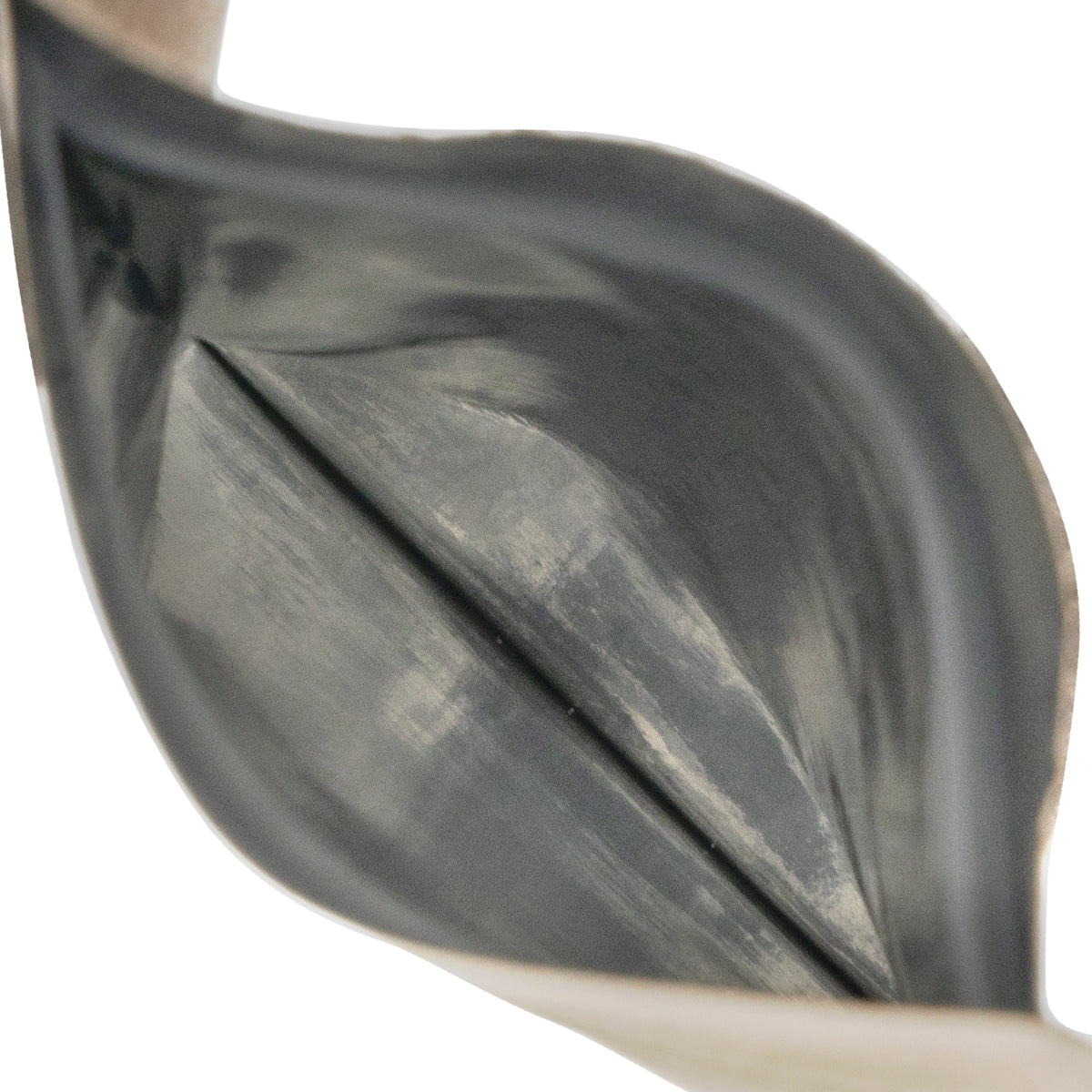 MYLAR KRAFT - 1G TN - 1000 CT Biohazard Inc