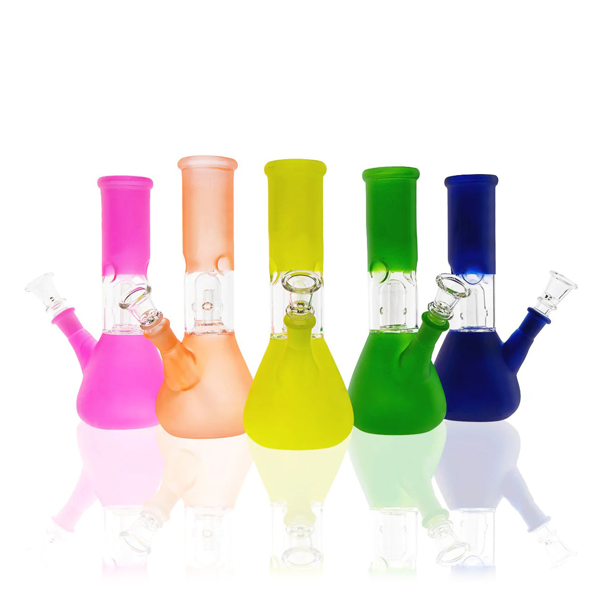 Water Pipe | Dome Percolator Beaker Water Pipe | 8" - 14mm - Assorted Colors
