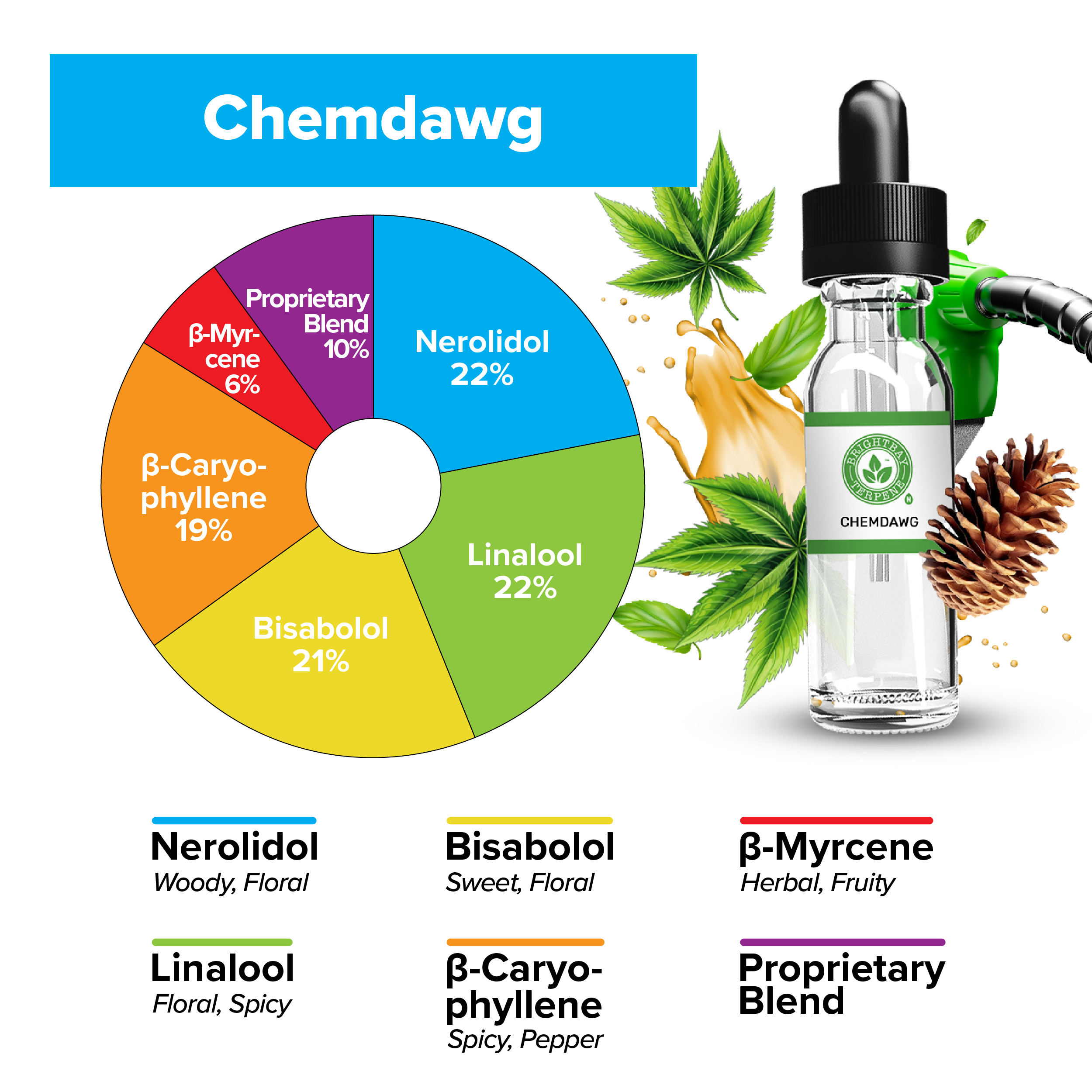 BrightBay Terpenes | Chemdawg | Hybrid - Various Sizes - Biohazard Inc