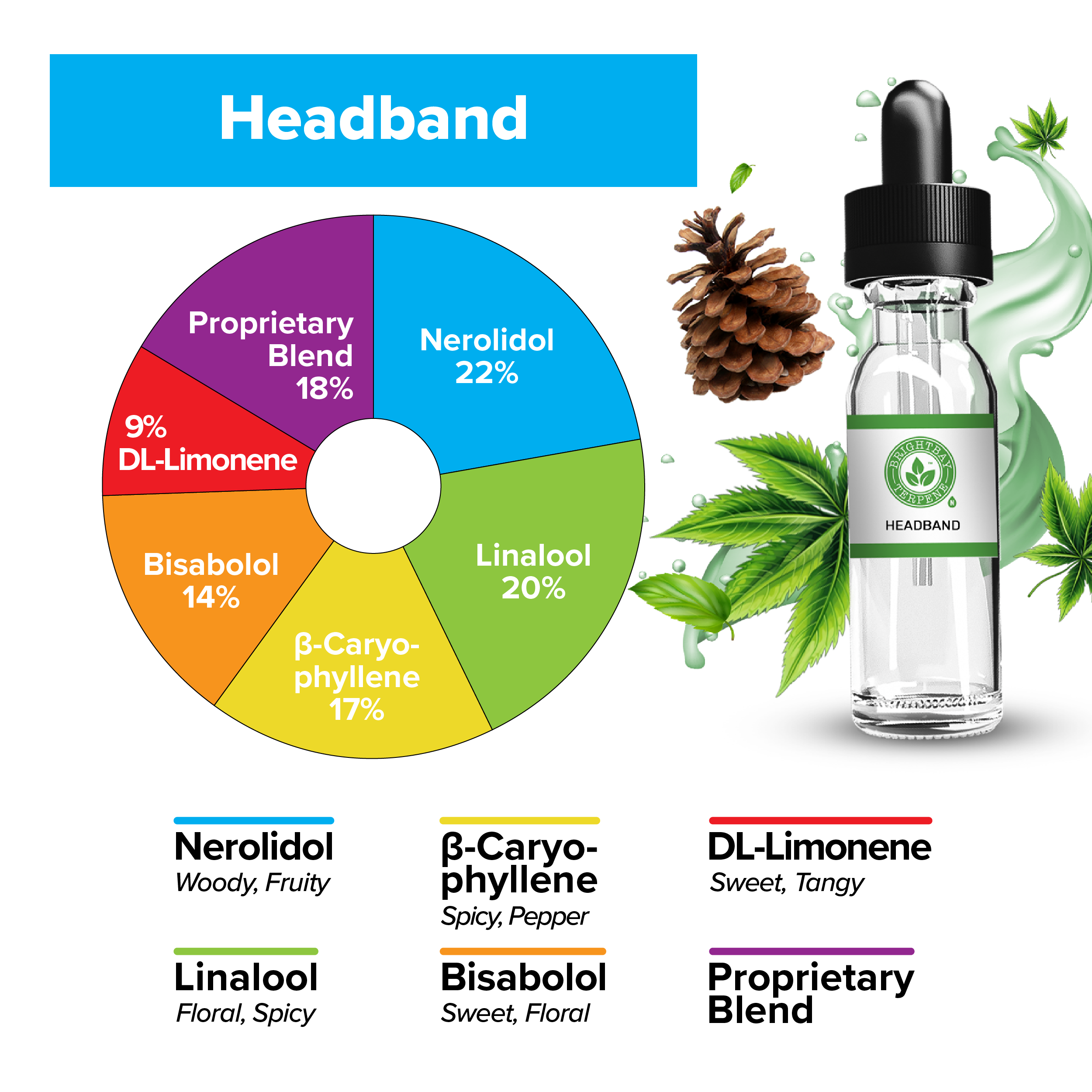 BrightBay Terpenes | Headband | Hybrid - Various Sizes - Biohazard Inc