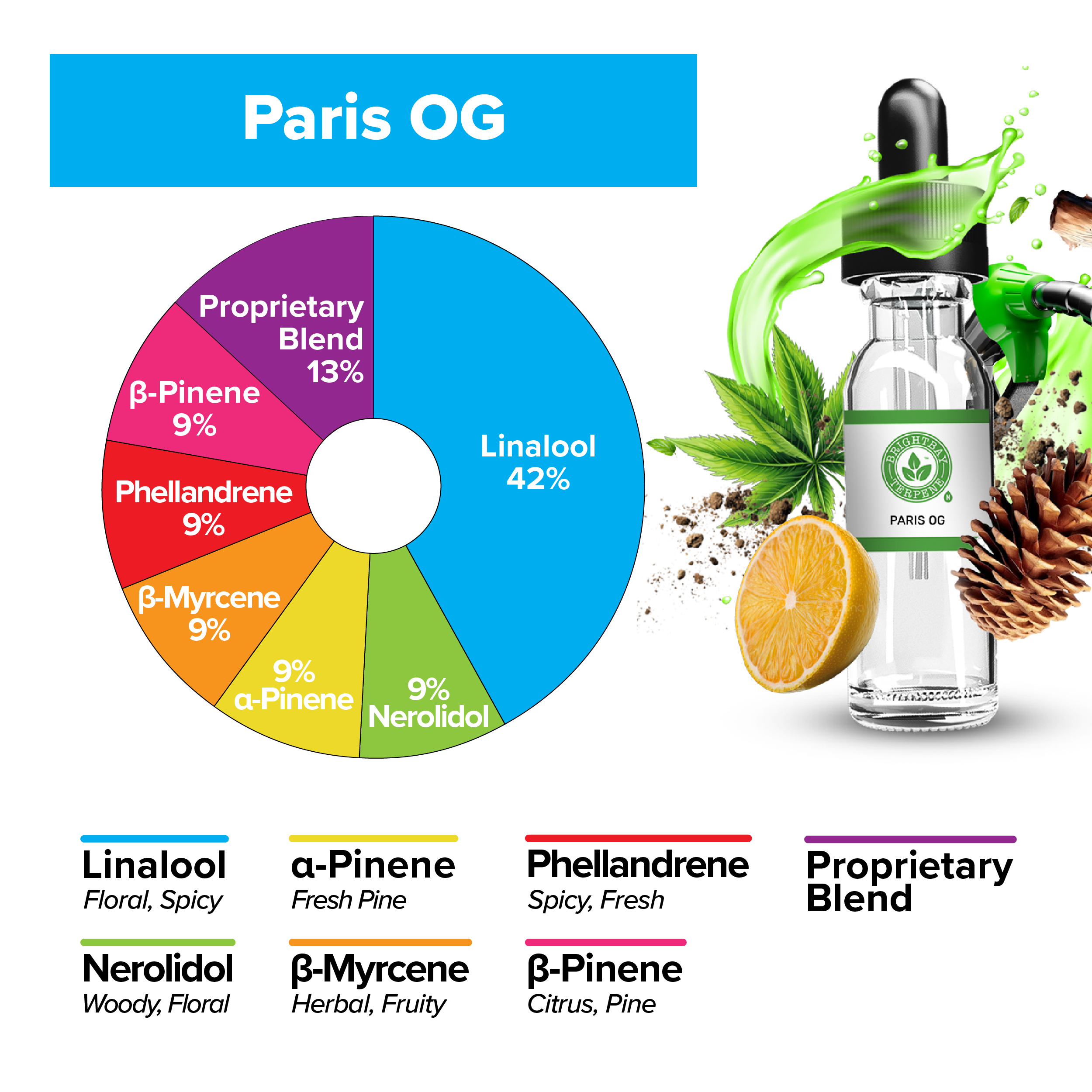 BrightBay Terpenes | Paris OG | Hybrid - Various Sizes - Biohazard Inc