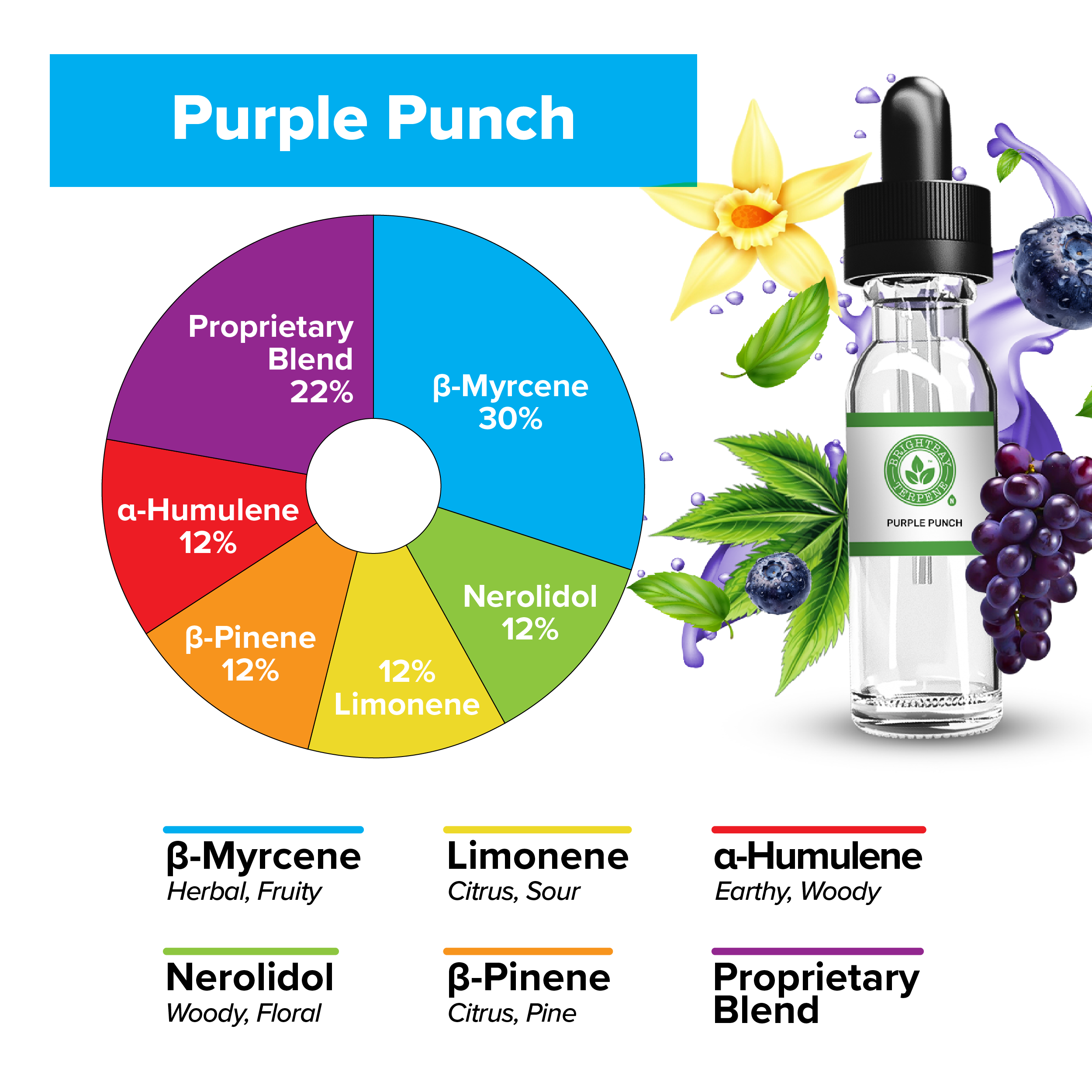 BrightBay Terpenes | Purple Punch | Indica - Various Sizes - Biohazard Inc