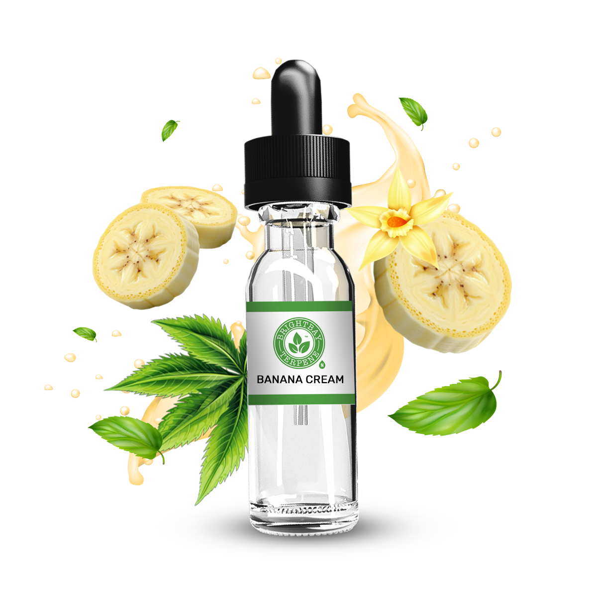 BrightBay Terpenes | Banana Cream | Hybrid