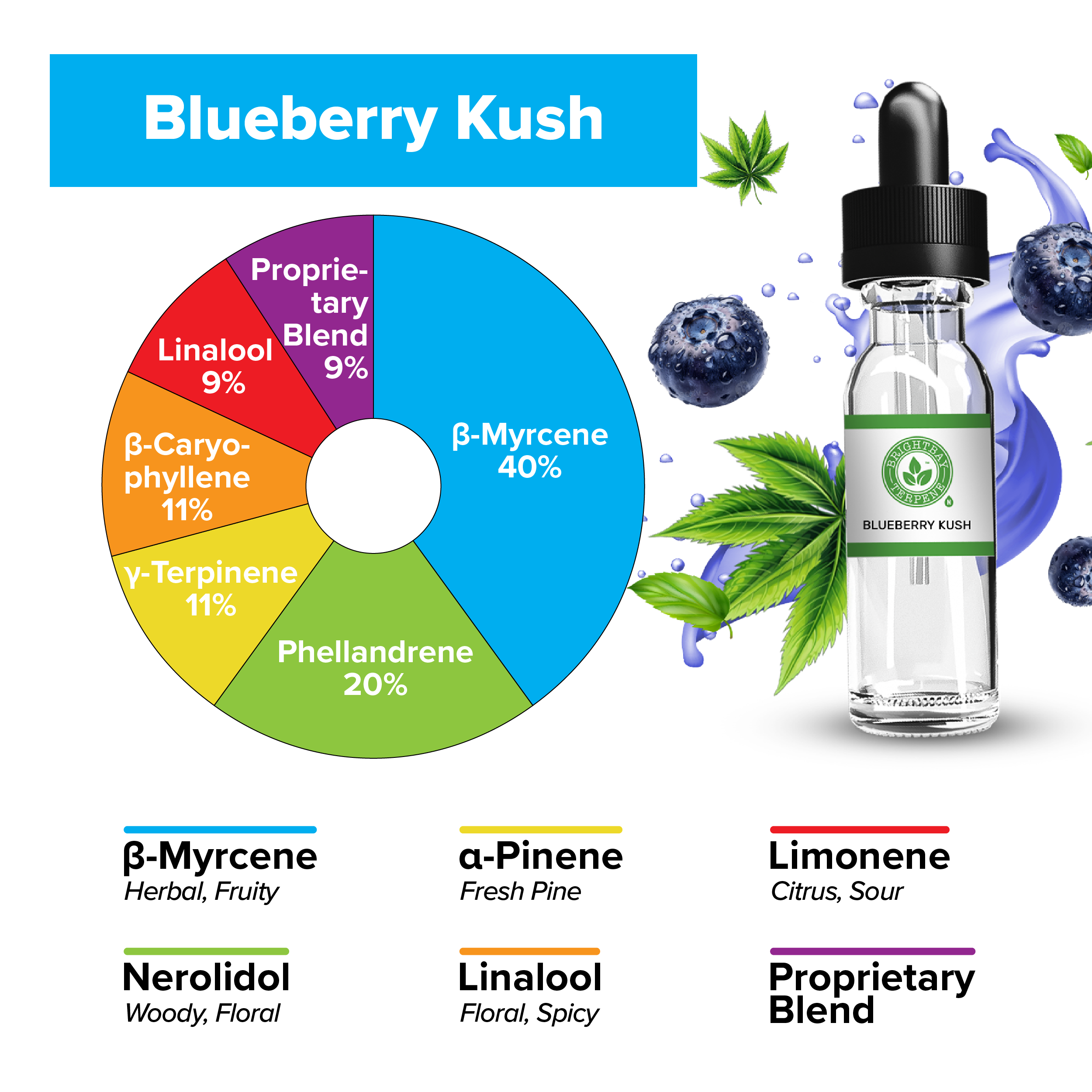 BrightBay Terpenes | Blueberry Kush | Indica - 25g - Biohazard Inc