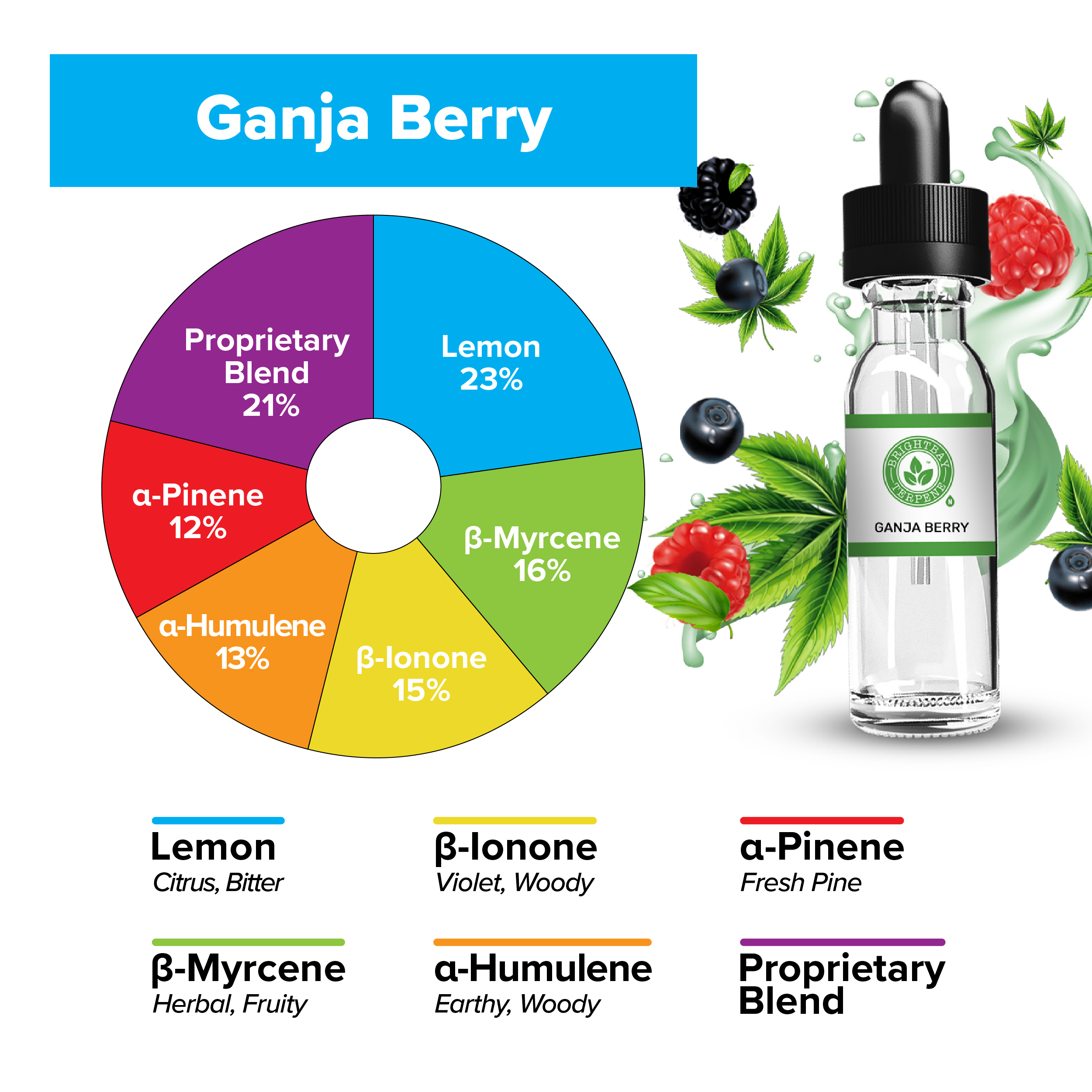 BrightBay Terpenes | Ganja Berry | Indica - 25g - Biohazard Inc