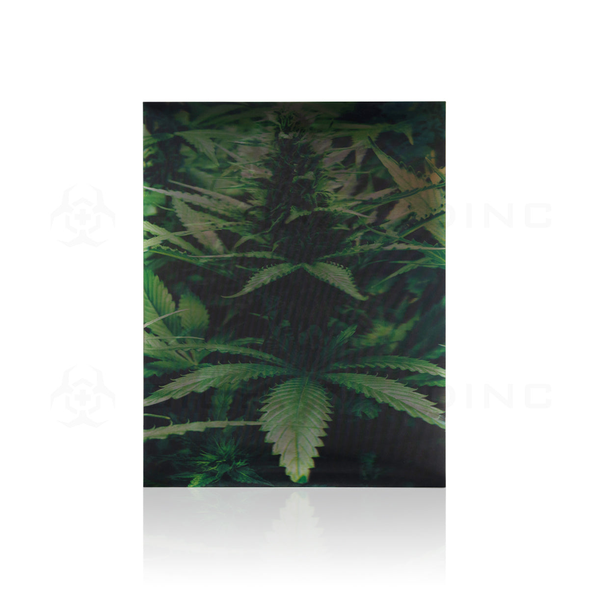 Wall Art | lenticular 3D - Cannabis Triplets | 18" x 14" Wall Art Biohazard Inc   